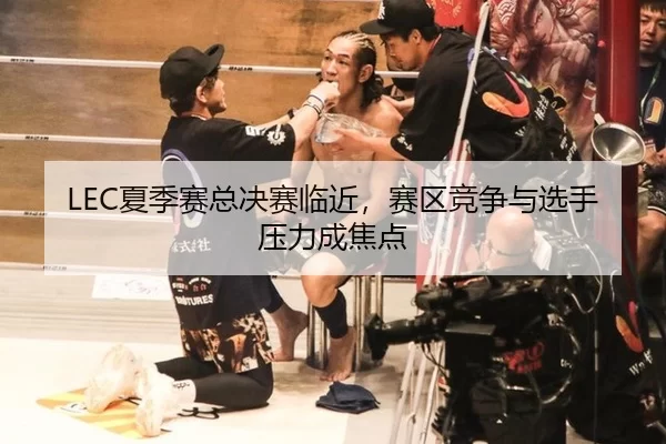 LEC夏季赛总决赛临近，赛区竞争与选手压力成焦点 - ayx